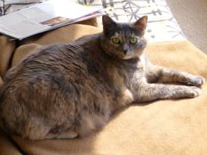 Grosses bild anzeigen 20060422 003.jpg